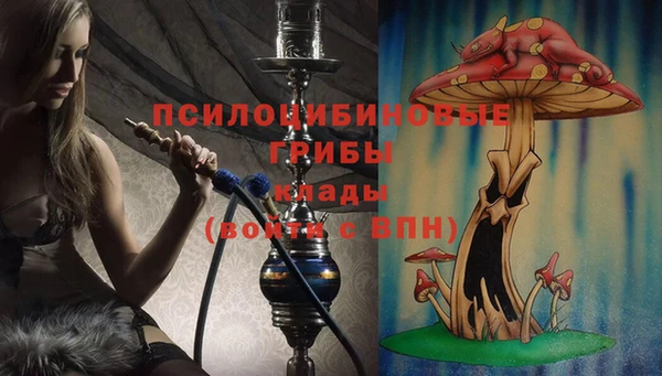 МДПВ Абаза