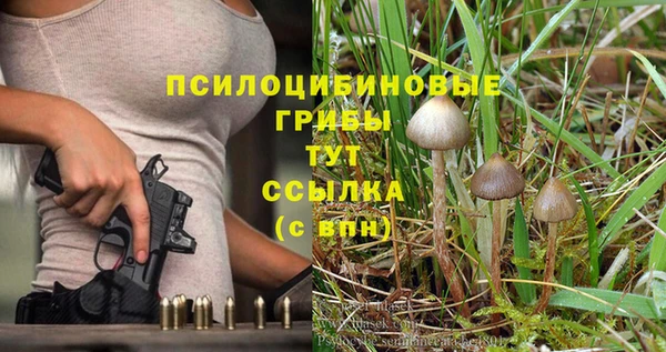 МДПВ Абаза