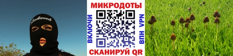 Псилоцибиновые грибы прущие грибы  Янаул 